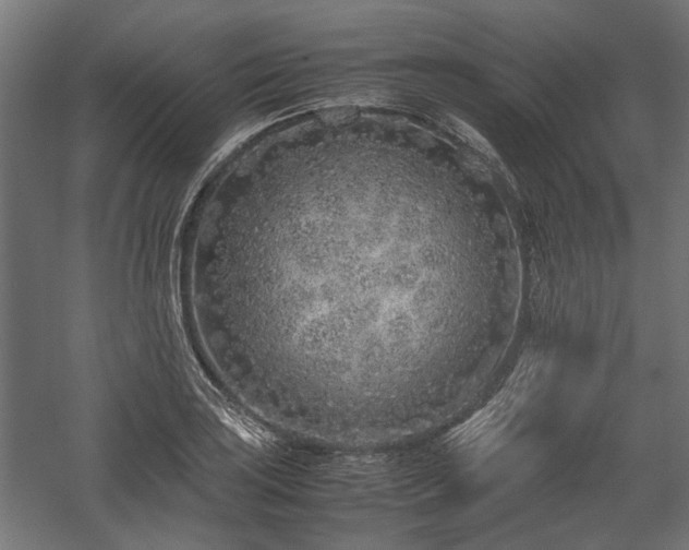 X0000057561035200509231154