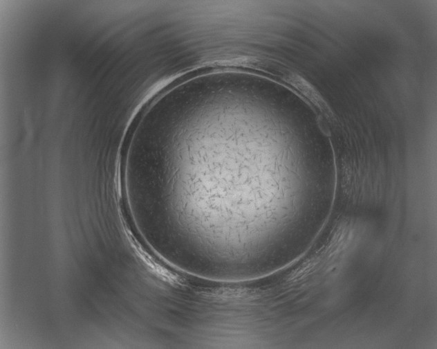 X0000057561036200509231154