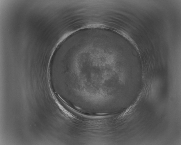 X0000057561037200509231154