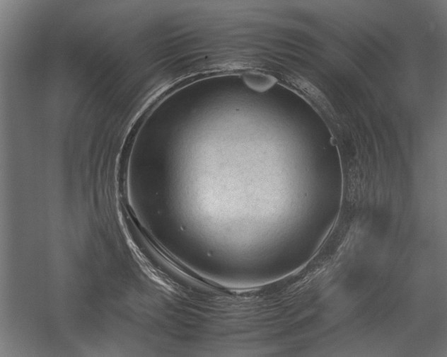 X0000057561039200509231154