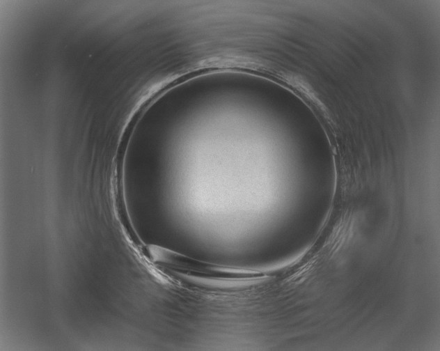 X0000057561040200509231154