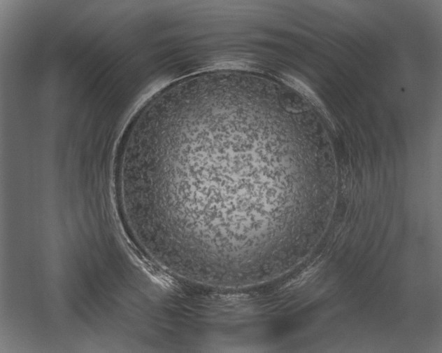 X0000057561043200509231154