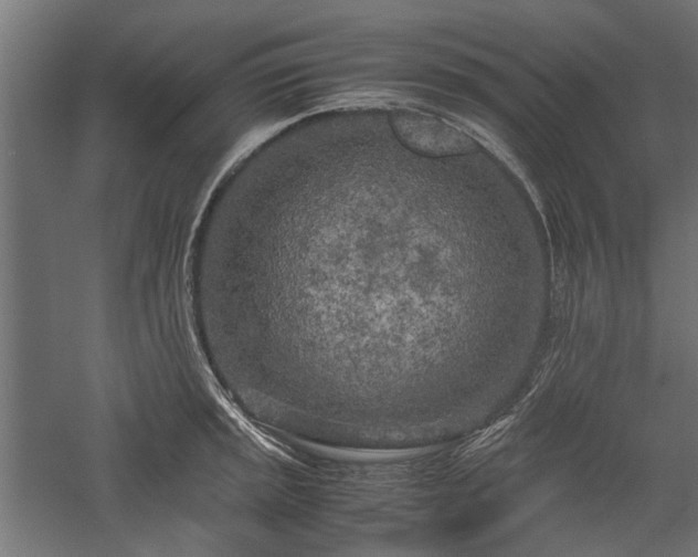 X0000057561045200509231154