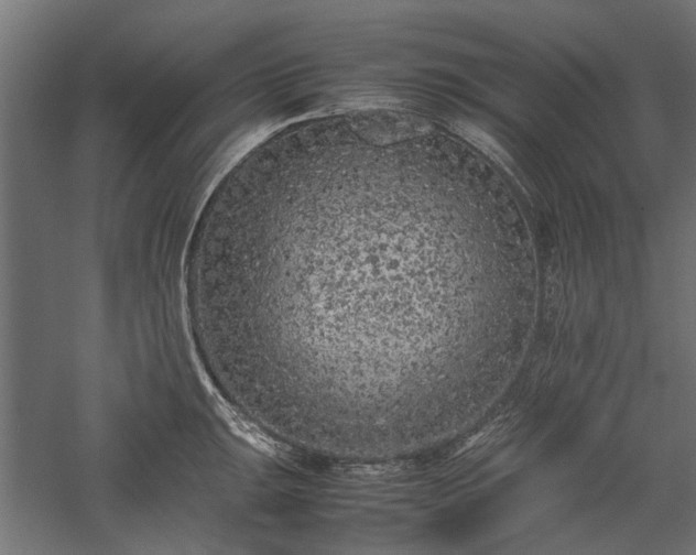 X0000057561047200509231154