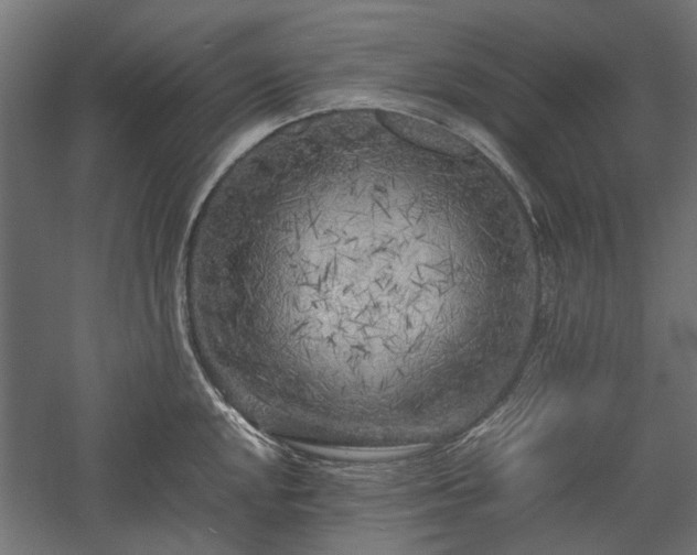 X0000057561048200509231154