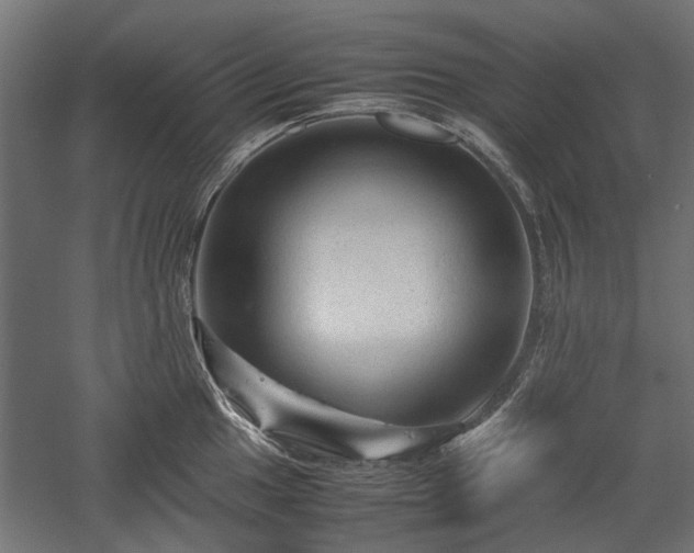 X0000057561049200509231154