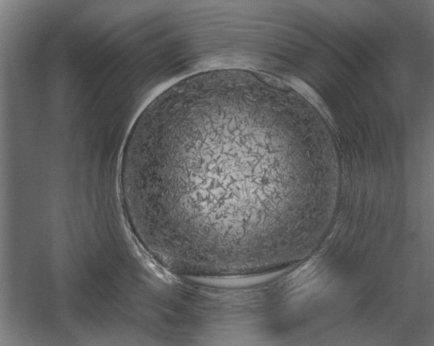 X0000057561052200509231154