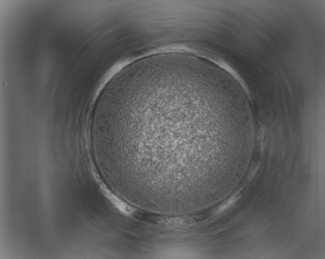 X0000057561054200509231154