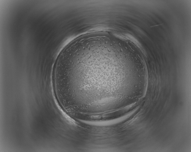 X0000057561055200509231154