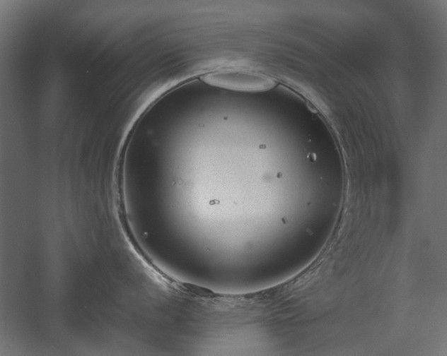 X0000057561056200509231154