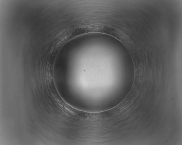 X0000057561058200509231153