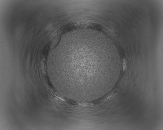 X0000057561059200509231153