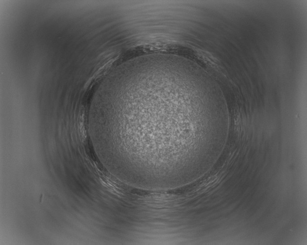 X0000057561060200509231153