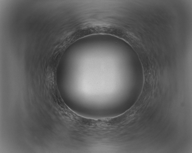 X0000057561061200509231153