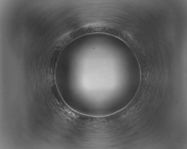 X0000057561062200509231153