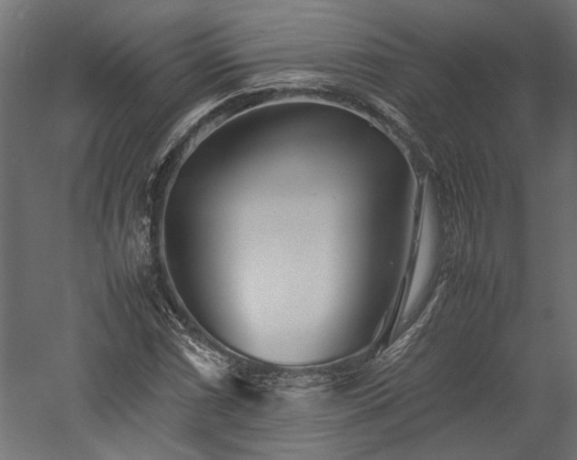 X0000057561066200509231153