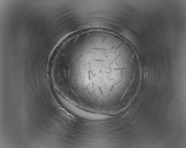 X0000057561068200509231153