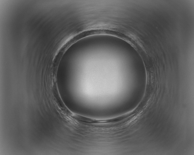 X0000057561069200509231153