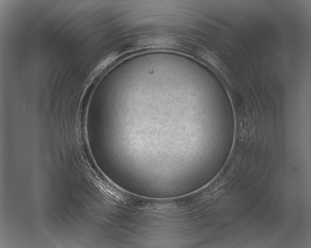 X0000057561074200509231153