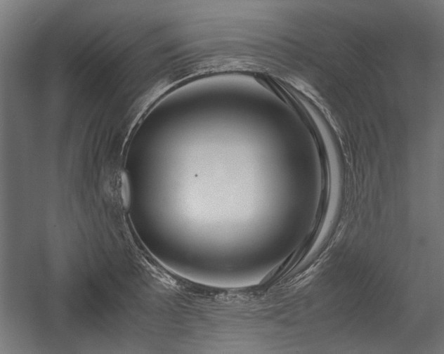 X0000057561089200509231153