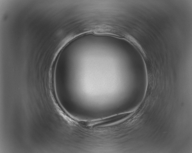 X0000057561099200509231153