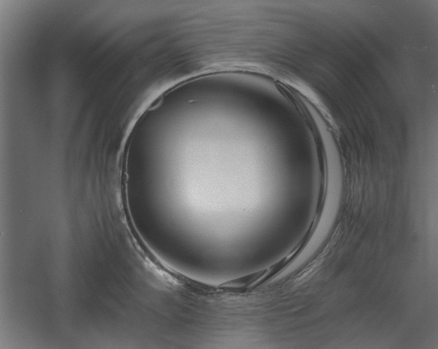 X0000057561102200509231153