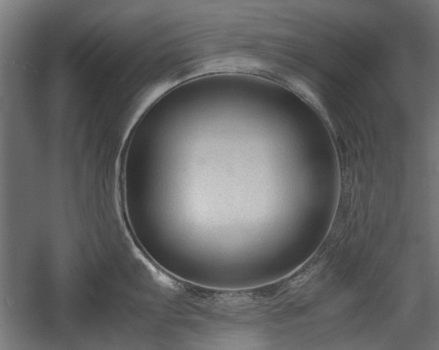 X0000057561103200509231153