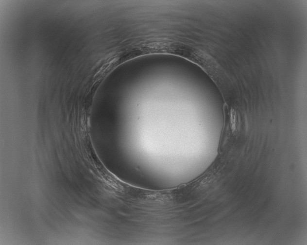 X0000057561107200509231152