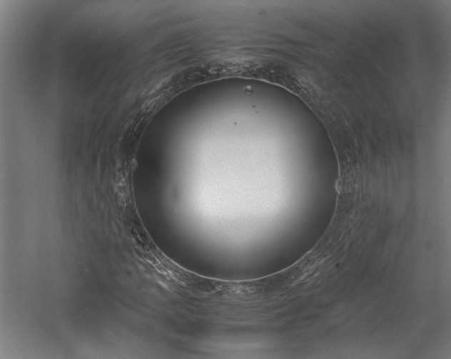 X0000057561109200509231152