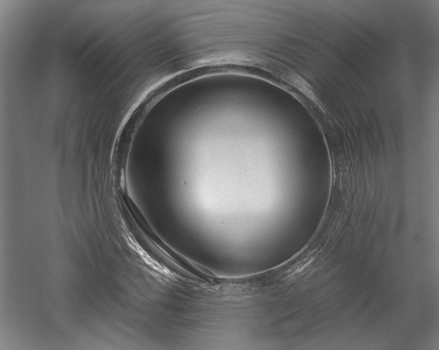 X0000057561116200509231152