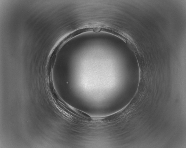 X0000057561120200509231152