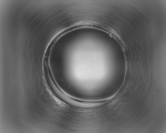 X0000057561124200509231152