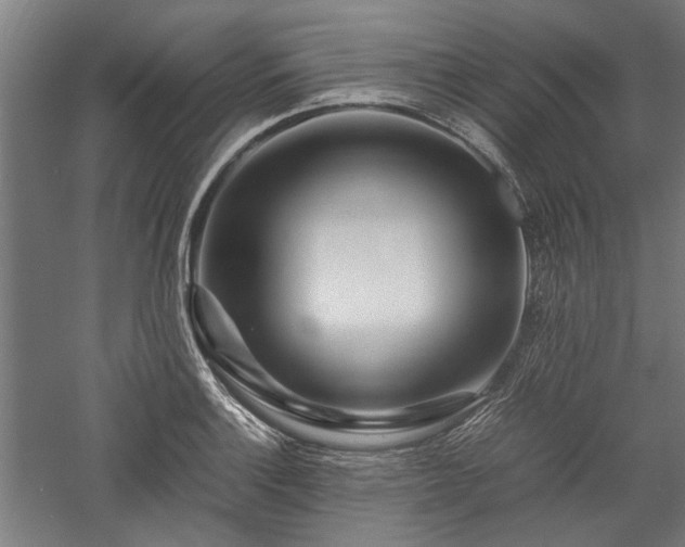 X0000057561132200509231152