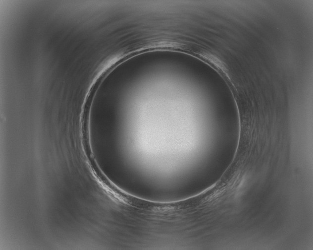 X0000057561135200509231152