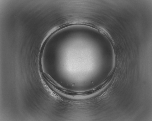 X0000057561138200509231152