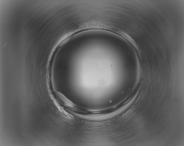 X0000057561144200509231152