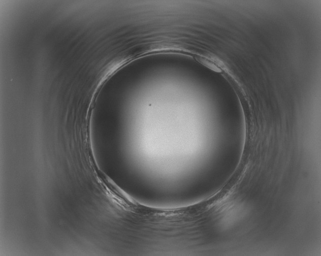 X0000057561145200509231152