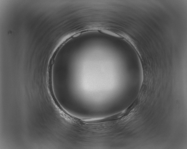 X0000057561147200509231152