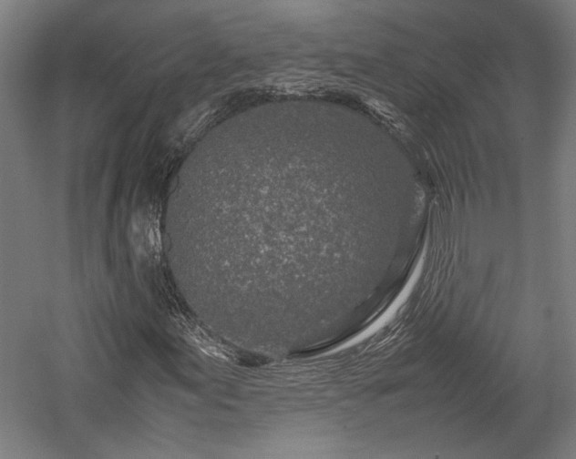 X0000057561155200509231152