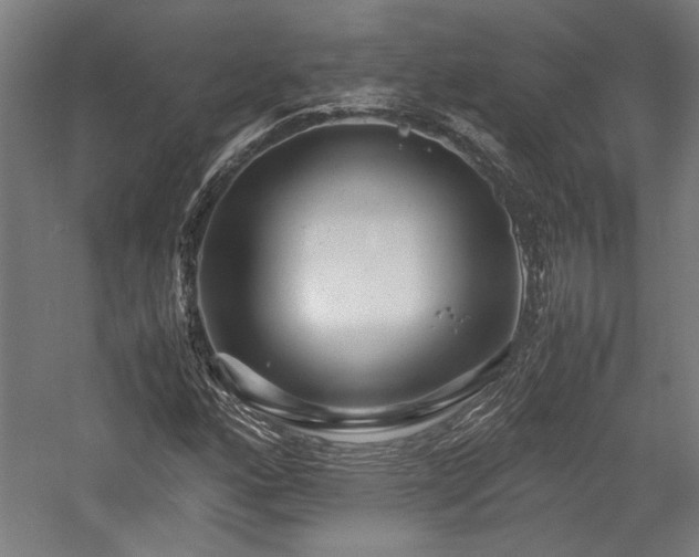 X0000057561160200509231152