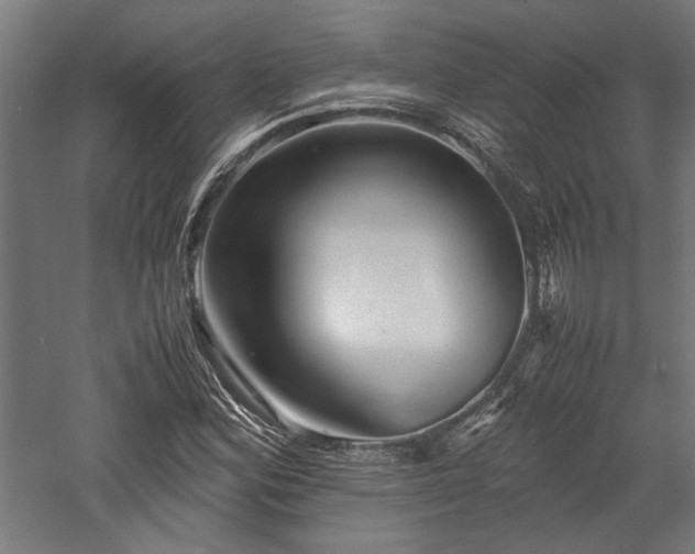 X0000057561164200509231152