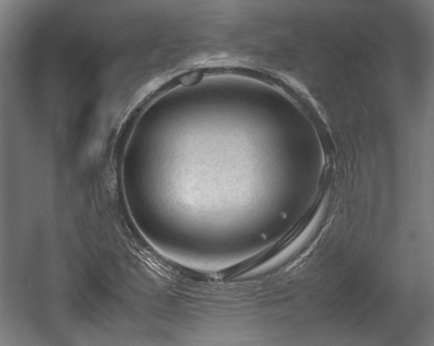 X0000057561167200509231151
