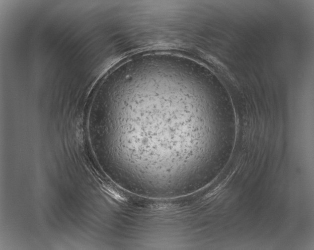 X0000057561170200509231151