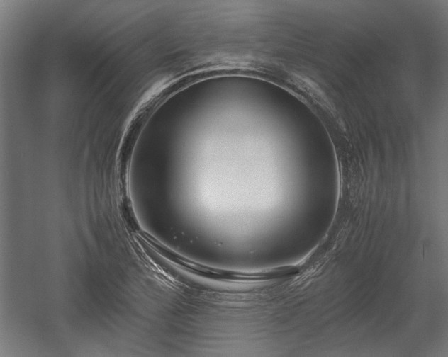X0000057561172200509231151