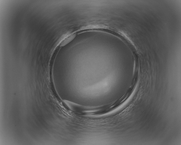 X0000057561173200509231151