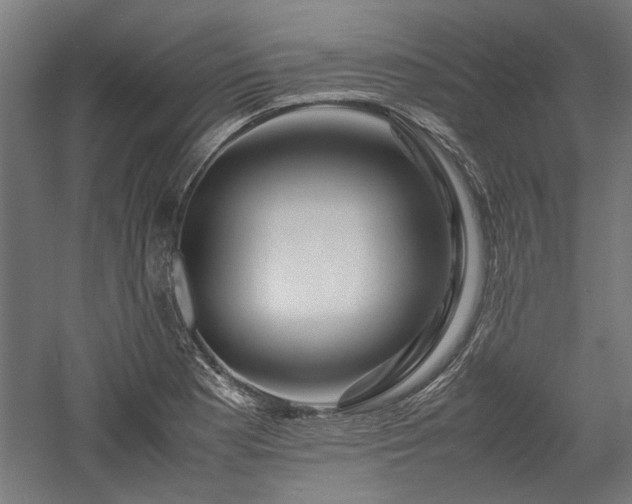 X0000057561177200509231151