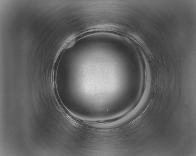 X0000057561180200509231151