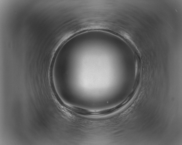 X0000057561181200509231151