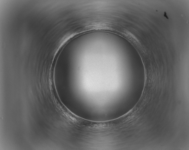 X0000057561182200509231151