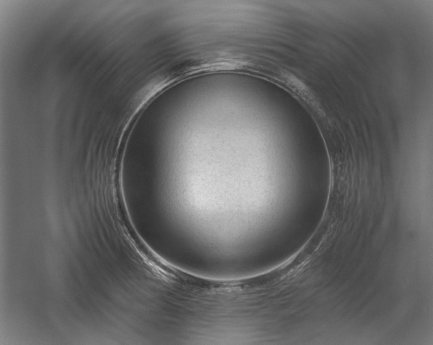 X0000057561186200509231151